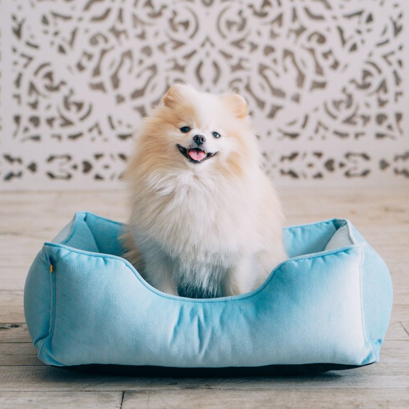 Mini dog bed XS Size 50x40 cm, light blue - 寵物床 - 其他材質 藍色