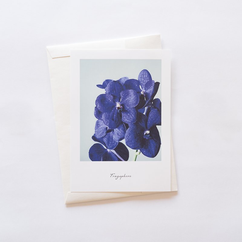 Flower lover Poster Fragsphere Edition Vanda A4 Size FEWP-003A - โปสเตอร์ - กระดาษ 
