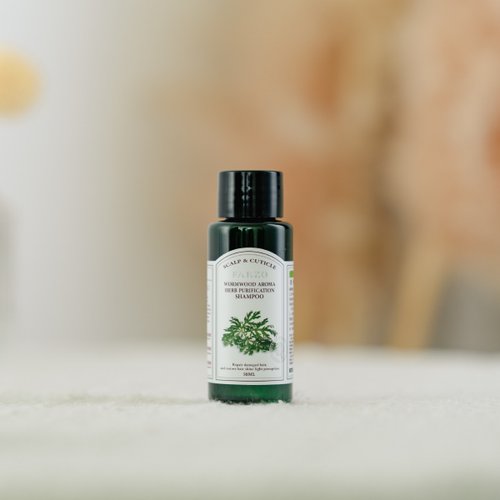 LODNI蘿德妮專業頭皮養護 青檸艾草淨化洗髮精 50ml