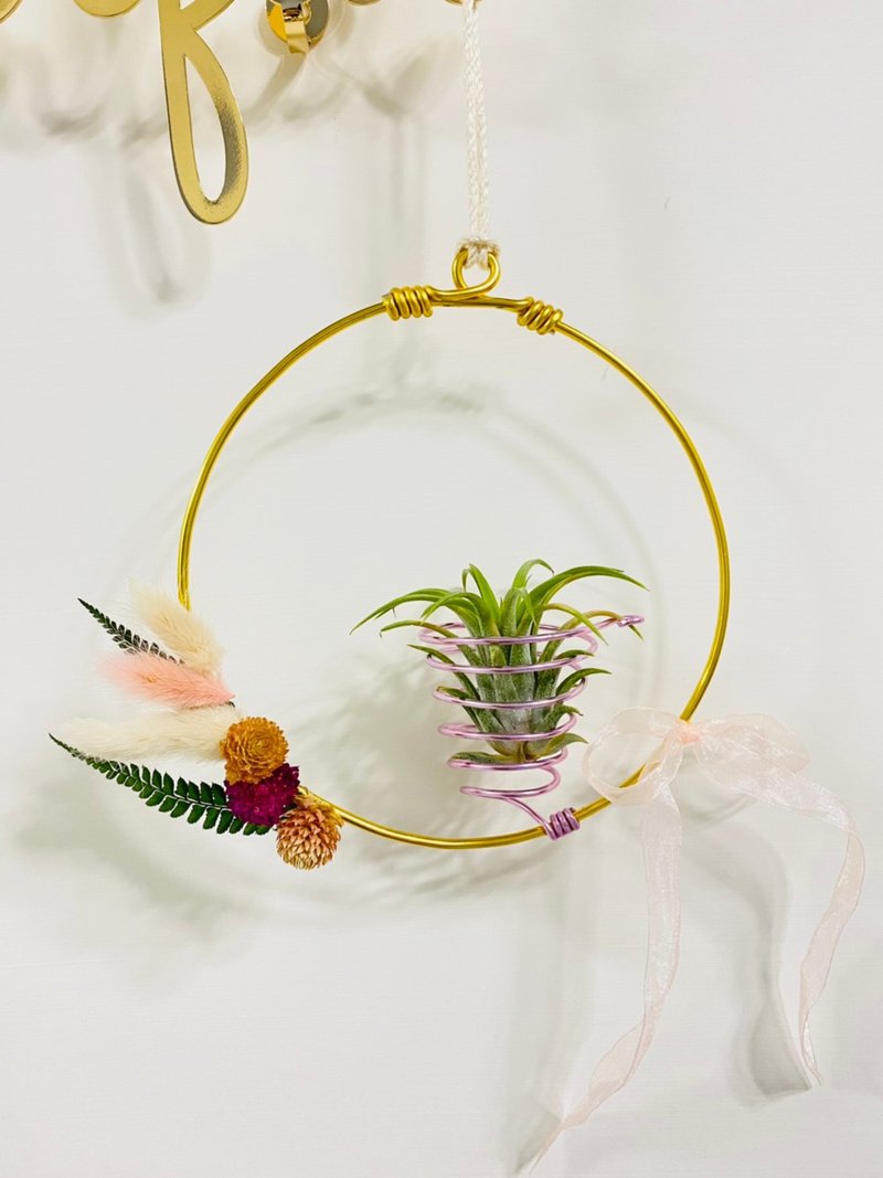 空氣鳳梨鋁線壁掛 開幕生日禮物(不含植物) - 植栽/盆栽 - 鋁合金 