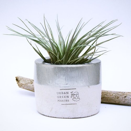 URBAN GREEN MAKERS (Taiwan) UGM圓型清水模盆器 / 銀