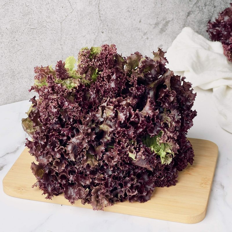 [Danyun hydroponic lettuce] 150g red rolls, lettuce, salad, lettuce, hydroponic vegetables - Other - Fresh Ingredients 