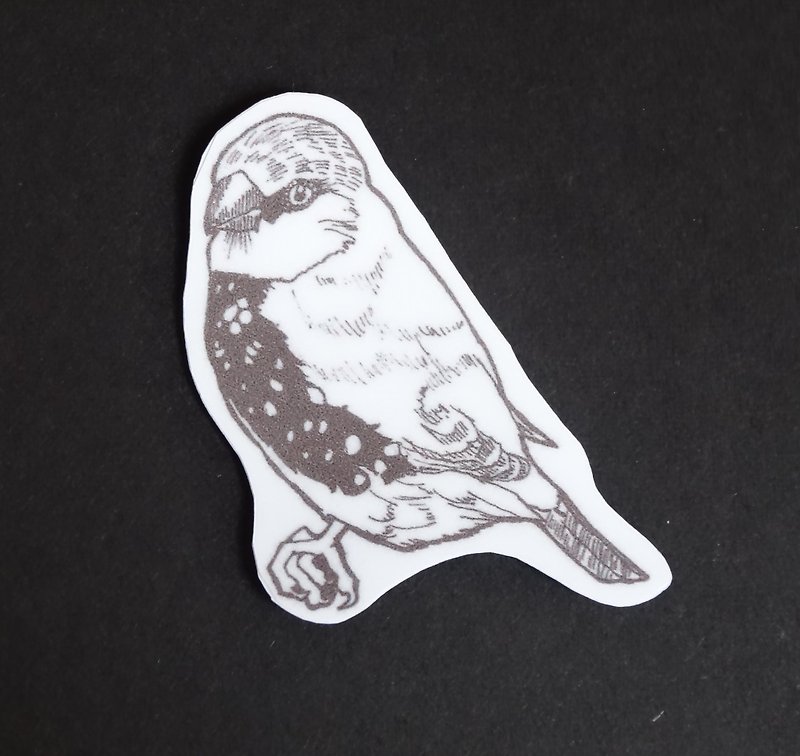 鳥類C防水貼紙 - 貼紙 - 塑膠 銀色