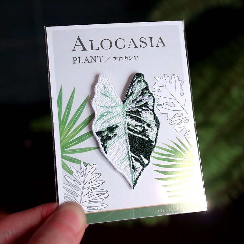 Alocasia green velvet variegated - Foliage Plant - Embroidered Fabric Patch - เข็มกลัด/พิน - งานปัก สีเขียว