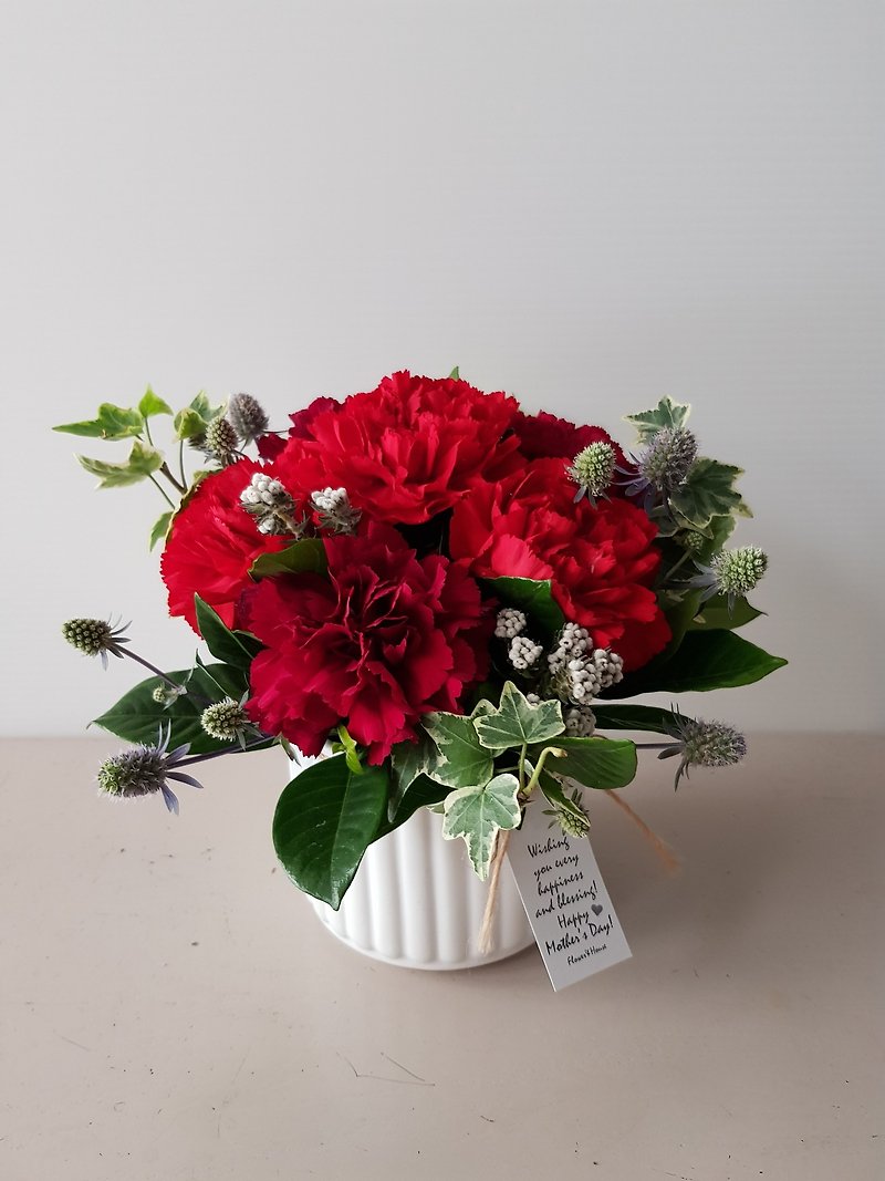flowers. Love Mommy. Red imported carnations in a round pot for Mother's Day. Self-pickup is welcome throughout Taiwan - ตกแต่งต้นไม้ - พืช/ดอกไม้ สีแดง