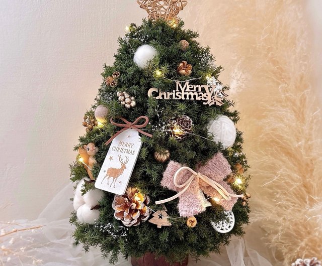 プリザーブドヒムロスギのクリスマスツリー】リスの暖かい冬 l ギフト