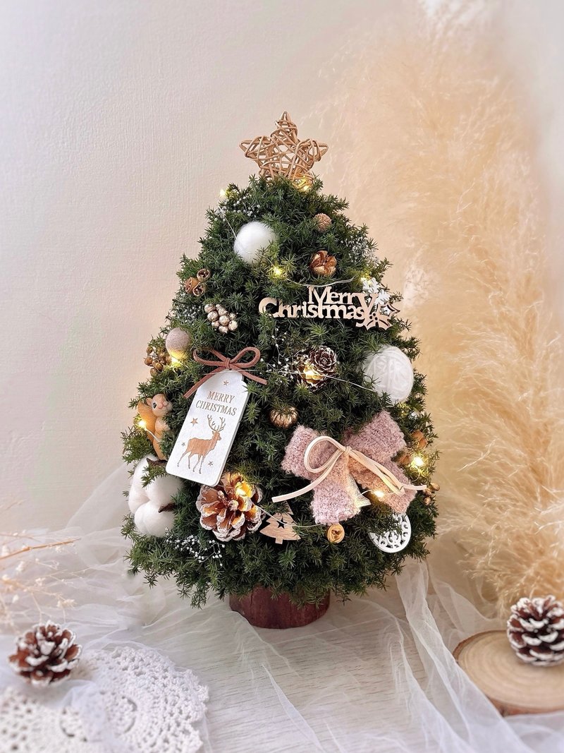 【永生雪松聖誕樹】小松鼠的暖冬 l 贈禮盒包裝 約高37cm 聖誕樹 - 乾燥花/永生花 - 植物．花 綠色