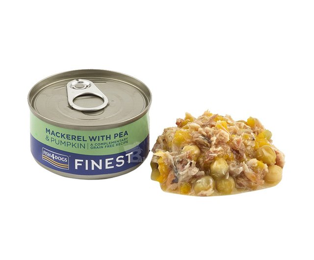 Tinned mackerel for outlet dogs