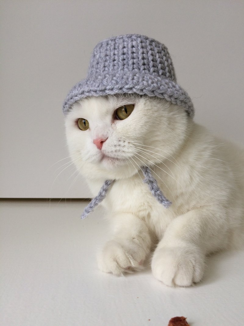 Cat hat, crochet pattern, bucket hat for cat, cute cat hat, cat accessories - 手工藝教學/工具書 - 其他材質 