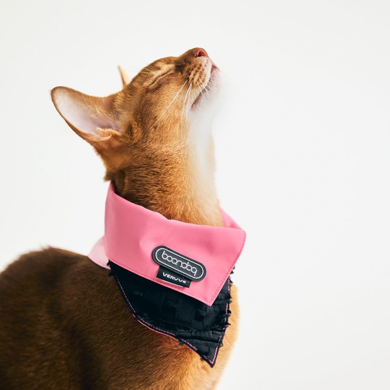 NARROW Boondog 聯名款寵物領巾 - 寵物衣服 - 其他材質 
