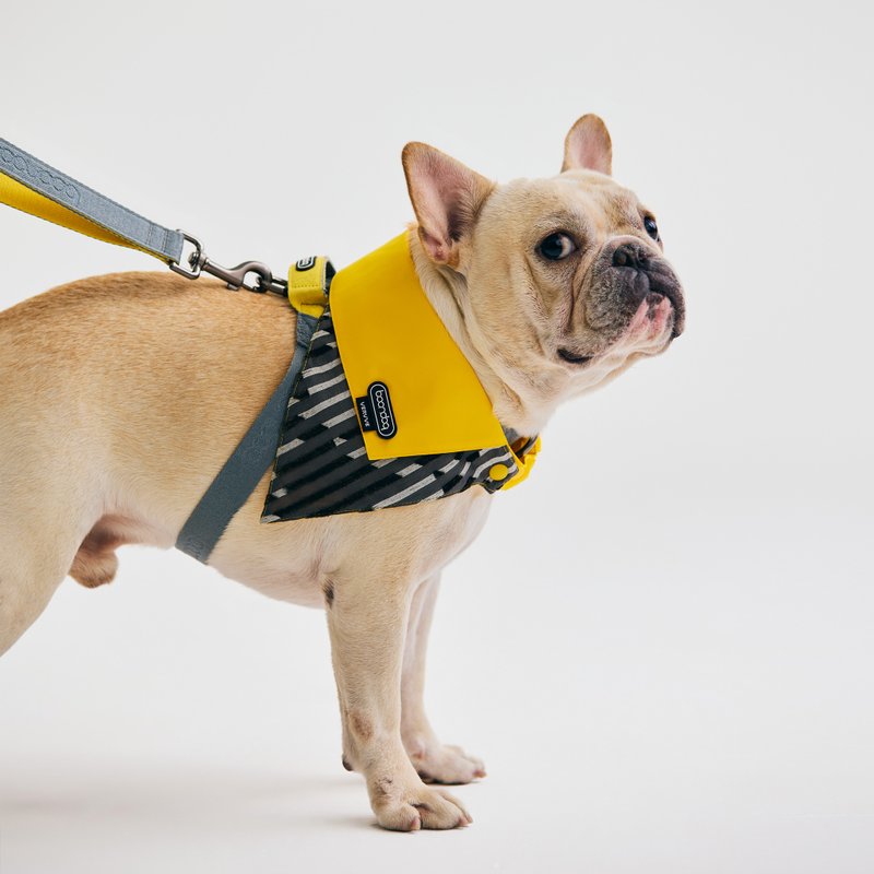 【 VERVVE 】NARROW Boondog 聯名款寵物領巾 - 寵物衣服 - 其他材質 