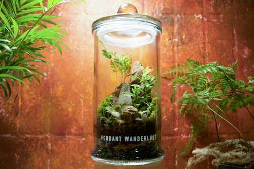 景觀丸藝 Verdant Wanderlust 【生態瓶-翠嶺石語】微景觀 室內植栽 禮物 辦公室擺設