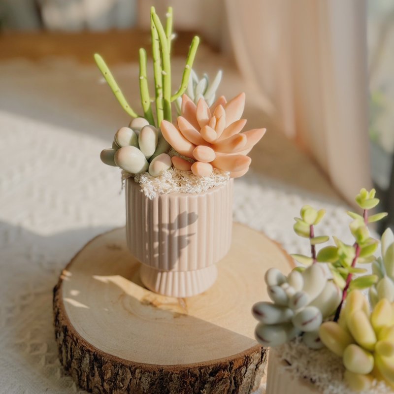 -The first choice for gifts-Clay succulent garden C-4-vertical pattern (small) - ของวางตกแต่ง - ดินเหนียว หลากหลายสี