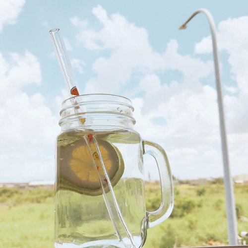 Watermelon double glass straw