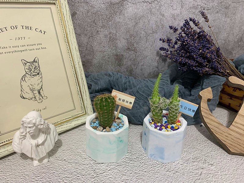 [Buy a container for a succulent baby│Super healing] Hand-made marble cream container Hearken Hearken - Plants - Plants & Flowers Green