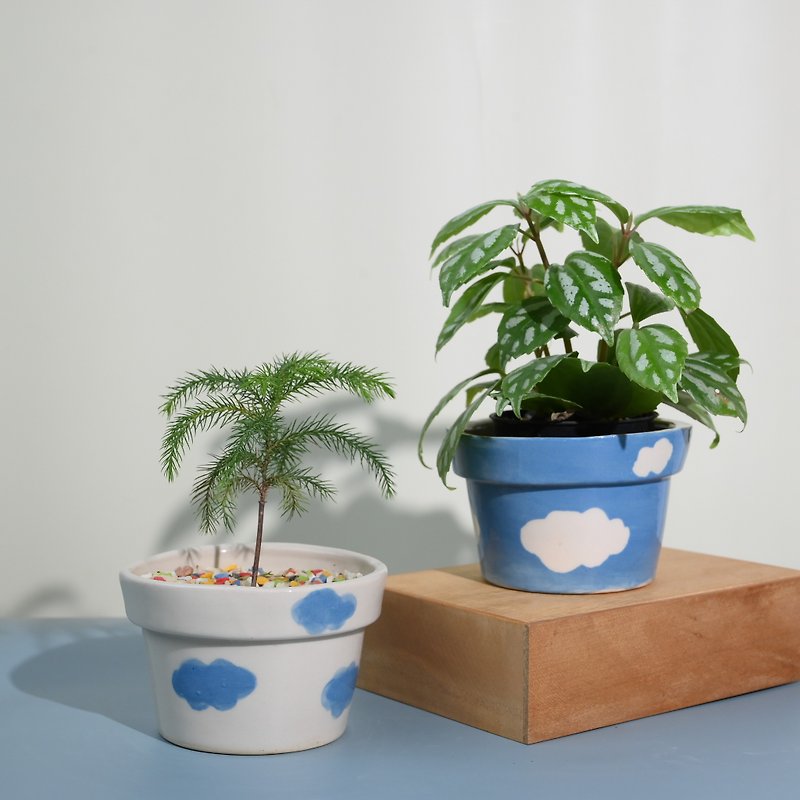 クラウド カップケーキ型 - 観葉植物 - 陶器 