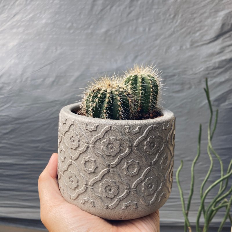 Window flower Cement pots - succulent flower pots, potted plants with relief shapes, potted foliage plants - Plants - Cement Gray