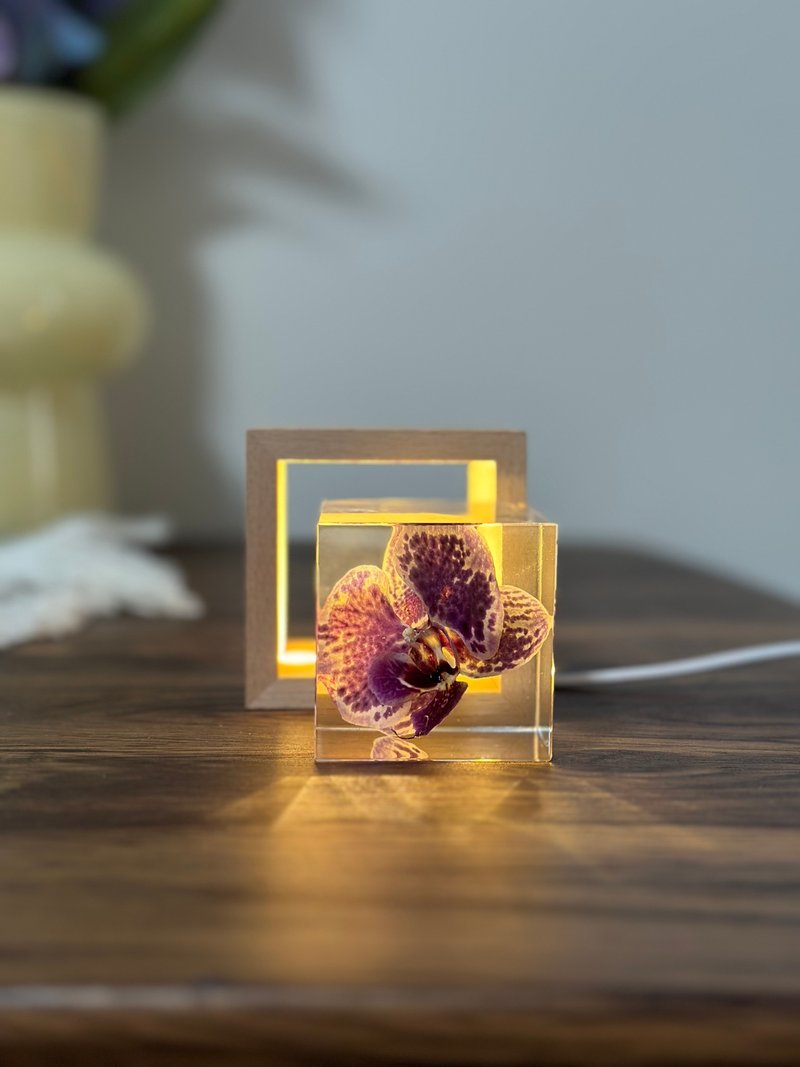 真花 \乾燥花 米奇蝴蝶蘭永生花樹脂夜燈 - 擺飾/家飾品 - 樹脂 紫色