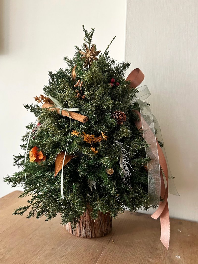 琥珀冬光 永生雪松聖誕樹 - 乾燥花/永生花 - 植物．花 