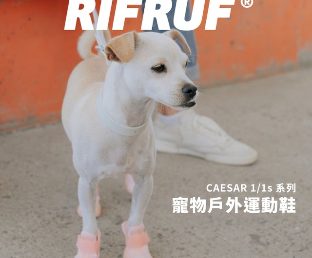 RIFRUF ドッグシューズ 小型犬用 クリーム色 楽天市場】即納【RIFRUF】 犬靴 ブランド 犬の靴 散歩 おしゃれ