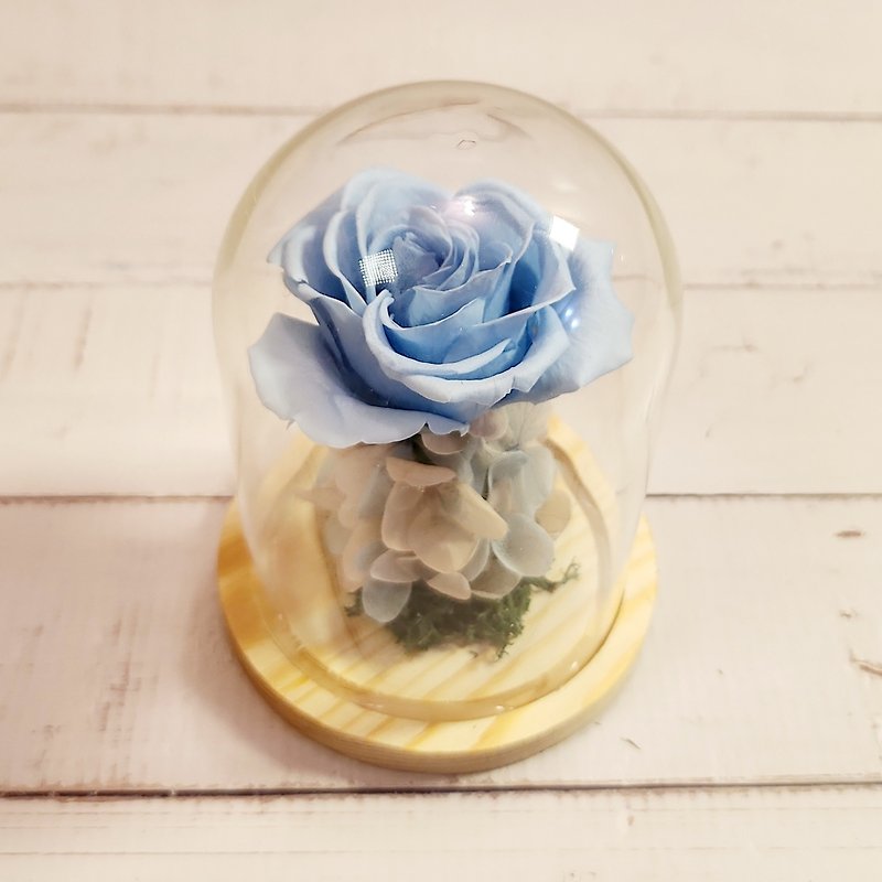 Everlasting Rose Mini Glass Cover-Powder Blue - ช่อดอกไม้แห้ง - พืช/ดอกไม้ สีน้ำเงิน