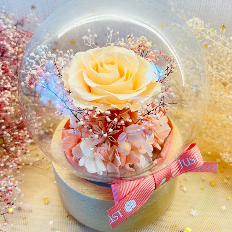 Preserved Peach Rose Music Box - Dried Flowers & Bouquets - Plants & Flowers 