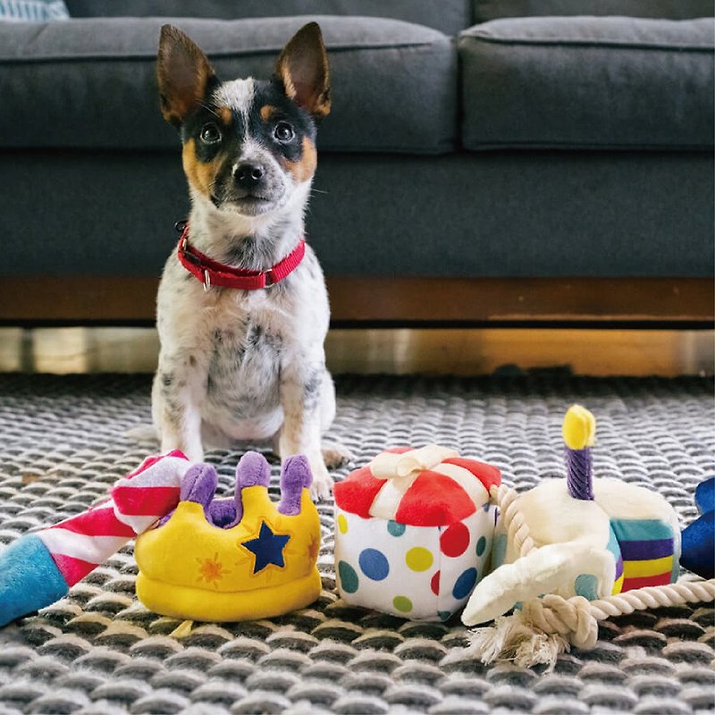 Party Time Collection (Dog toys) - ของเล่นสัตว์ - วัสดุอีโค 