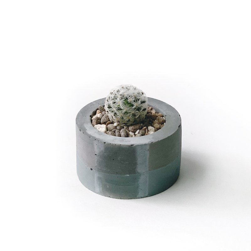 (In stock) Morandi Green Series | Dewey Maru small round two-color Cement cactus planting