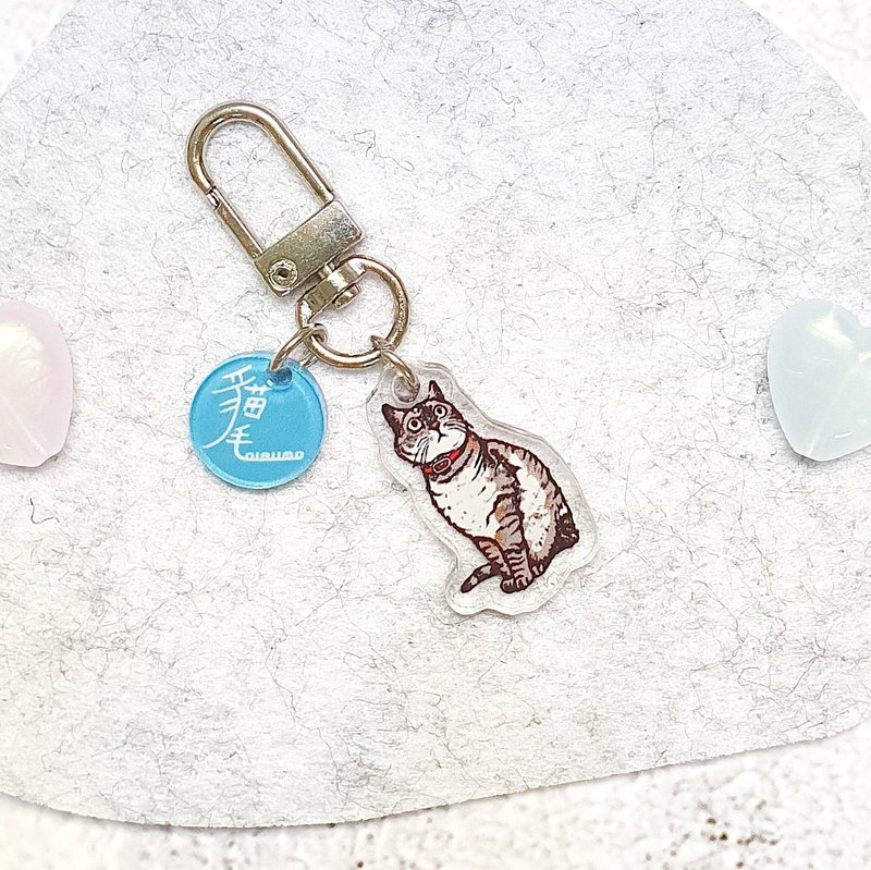 猫の毛アクリルペンダントキーホルダーエアポッド/アメリカンショートヘアの猫 - チャーム - アクリル 多色