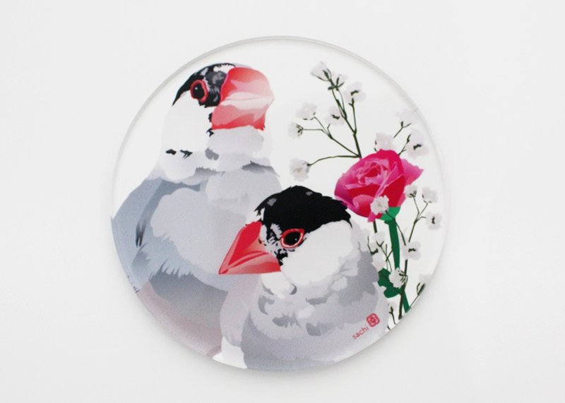 Acrylic Coaster - Java Sparrow - Coasters - Acrylic Transparent