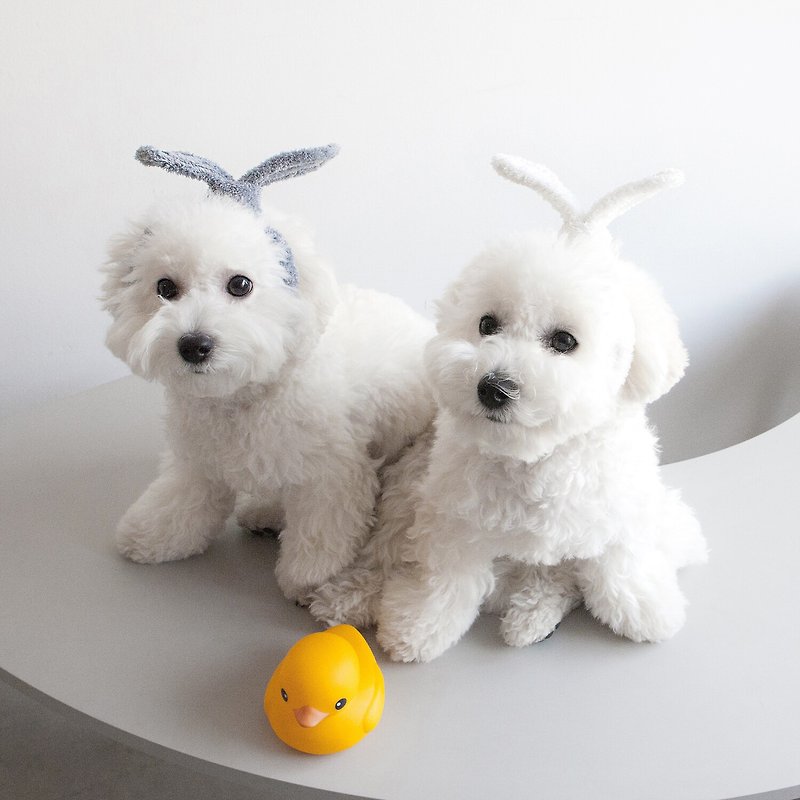 免睏【PET IN BEAUTY 韓國 超細纖維 寵物 浴帽】寵物浴帽 - 寵物衣服 - 棉．麻 