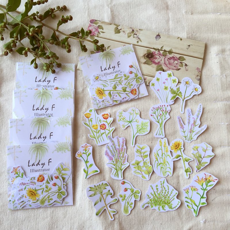 Lady F group hand-painted flowers and transparent stickers - Stickers - Paper Pink