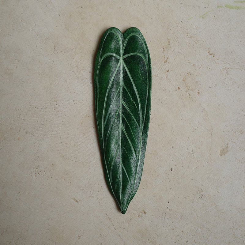 火鶴之后 Anthurium warocqueaum - 擺飾/家飾品 - 真皮 綠色
