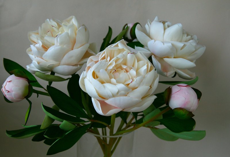 Plastic Dried Flowers & Bouquets White - Dried peonies, Artificial peony, Realistic flowers