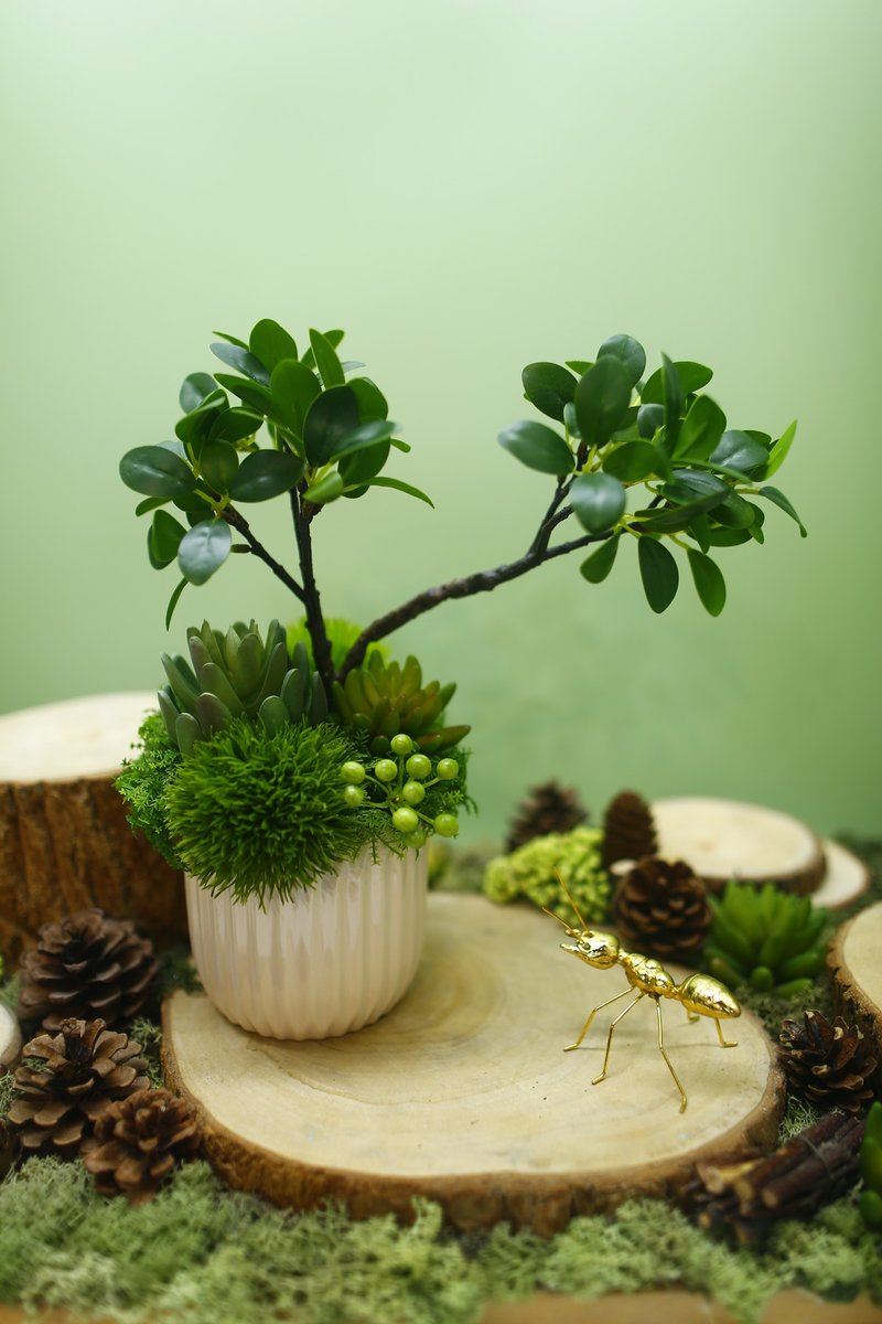 榕樹下的禪學 綠植款香氛盆栽/擬真植物/人造盆栽/綠化/佈置/禮物 - 盆栽/植栽 - 其他材質 綠色