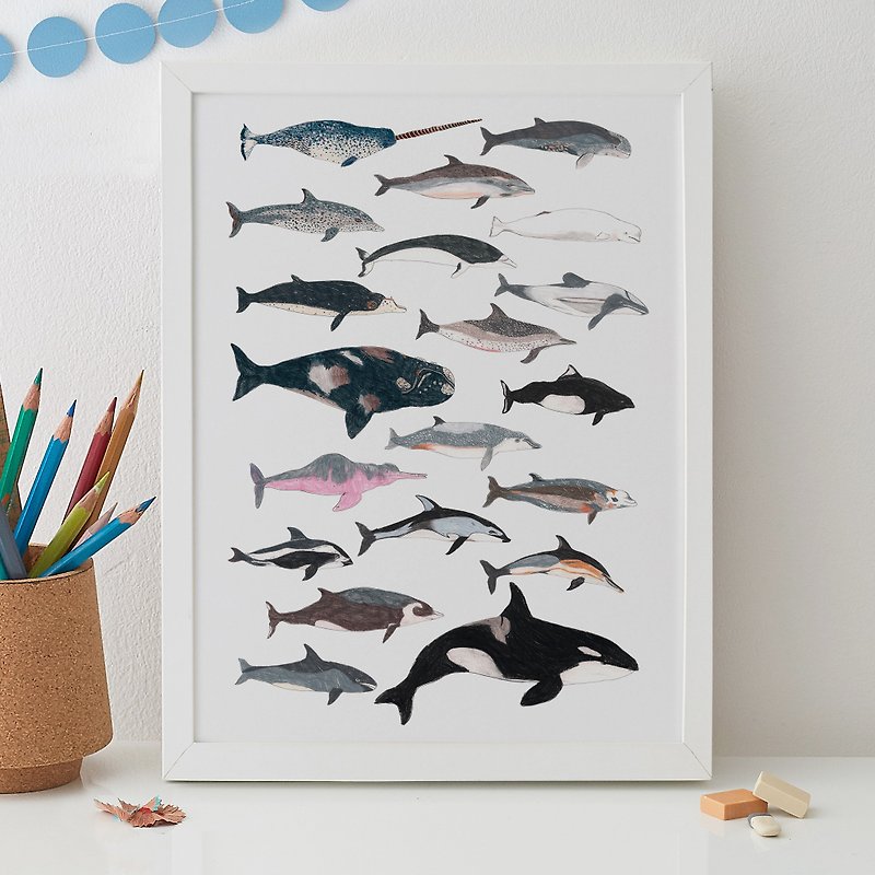CETACEAN PRINT - WHALES AND DOLPHINS - 海報/掛畫/掛布 - 紙 多色