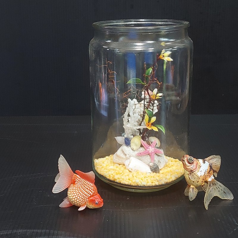 魚缸 珊瑚海景、流木水草 組合造景 AM-003-XS-01 - 盆栽/植栽 - 玻璃 