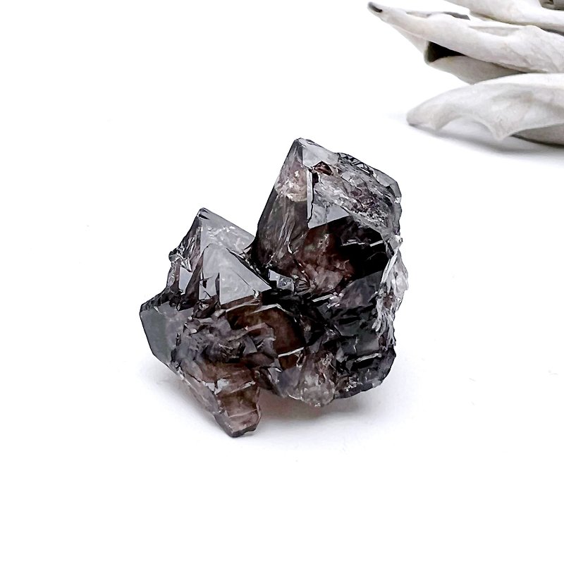 rugged. Raw mineral, one picture, one object, healing ancient crystal l Brazilian black tea backbone and skeleton mineral mark l - ของวางตกแต่ง - คริสตัล สีนำ้ตาล