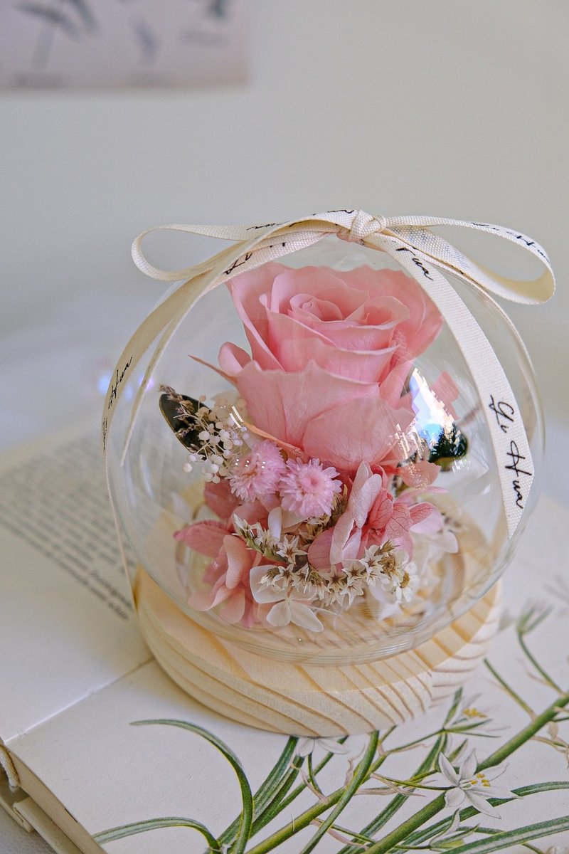 Vanilla Powder - Preserved Flower Glass Flower Ball - Dried Flowers & Bouquets - Plants & Flowers Pink