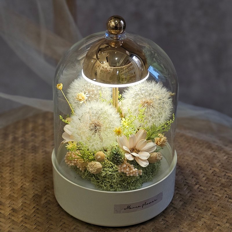 Dandelion Touch-Activated Night Light Glass Cover with USB Charging Cable Fast Shipping - ช่อดอกไม้แห้ง - พืช/ดอกไม้ ขาว