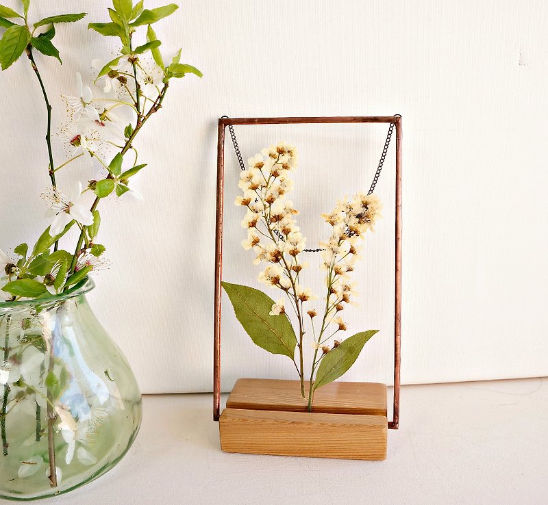 Plant illustration White flowers Herbarium double glass frame 白花 玻璃工藝 ハーバリウム - Dried Flowers & Bouquets - Glass White