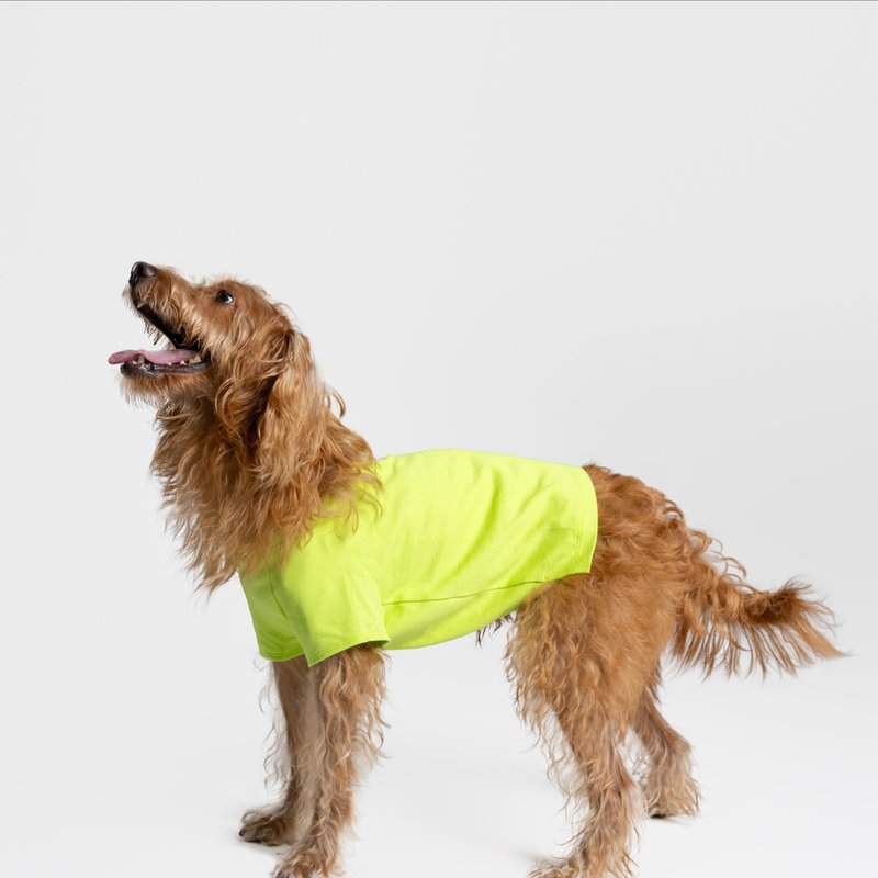 bump up Air Tag T-shirt, Fluorescent Color, Dog Clothing, Cute Dog Clothes - Clothing & Accessories - Cotton & Hemp Green