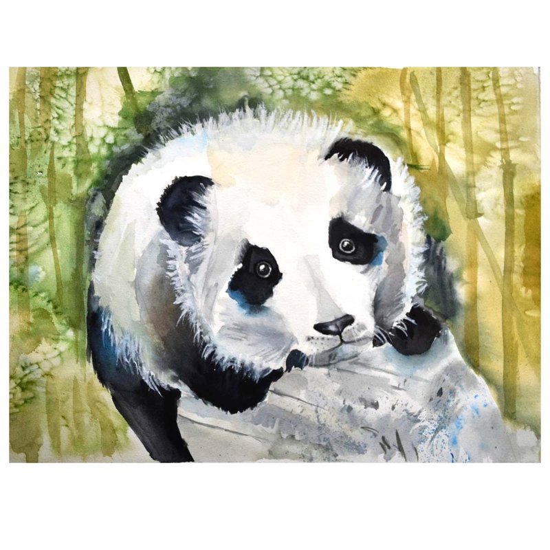 Panda Painting Original Watercolor Animal Art Panda Artwork - 壁貼/牆壁裝飾 - 環保材質 綠色
