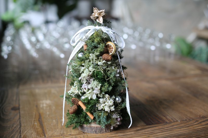 Christmas Everlasting Tree│Small Weekend Garden Course - Plants & Floral Arrangement - Plants & Flowers 