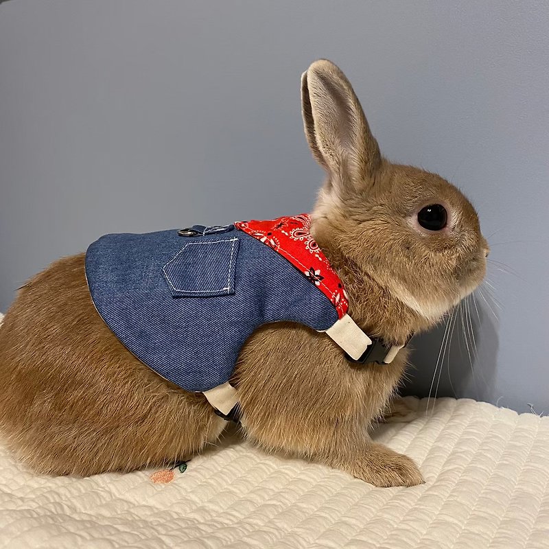 rabbit harness - Clothing & Accessories - Other Materials Blue