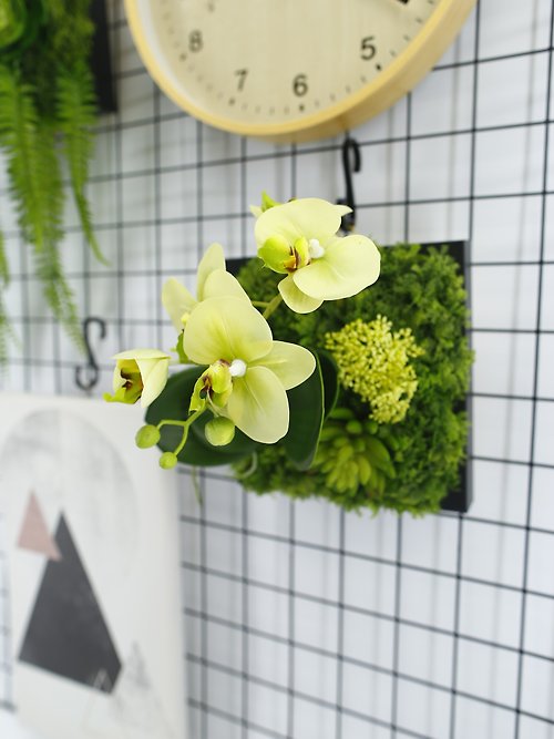 榆果傢飾 HUGO DECO 綠蝴蝶蘭小植物框 / 擬真植物 / 電箱佈置 / 壁掛 / 永不凋零