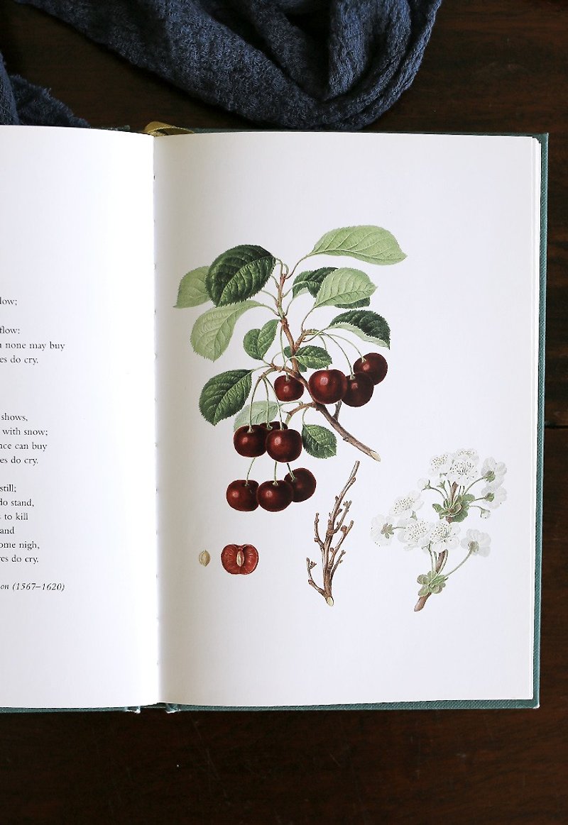 Popular spot//[Garden Poetry Collection] Featured Flower Vintage Book Illustration Picture Book
