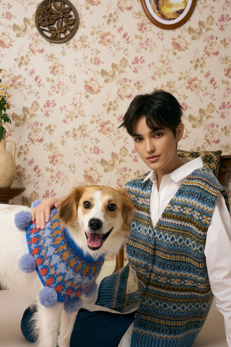 MULTI LAB - 517 寵物脖圍 - 寵物衫 - 羊毛 多色