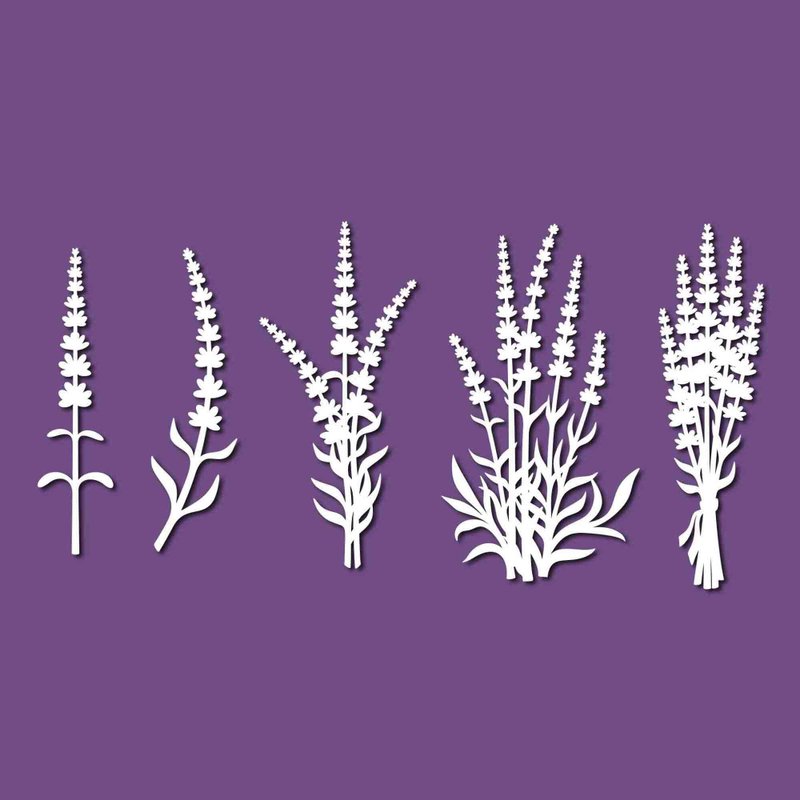 Lavender svg, lavender template, lavender pdf, lavender png, lavender laser cut - 圖文模板設計 - 其他材質 