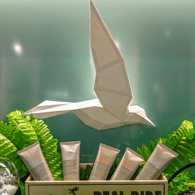 DIY手作3D紙模型擺飾 禮物 掛飾 小動物系列 - 純潔的飛鳥(選顏色 - 公仔模型 - 紙 白色